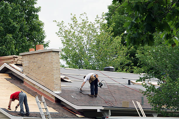 Roof Gutter Cleaning in Gray, GA